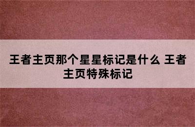 王者主页那个星星标记是什么 王者主页特殊标记